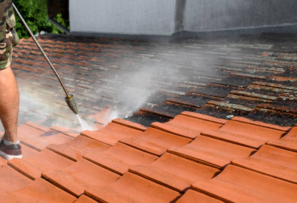 Best Roof Power Washing Services  in Jacksonville Beach, FL